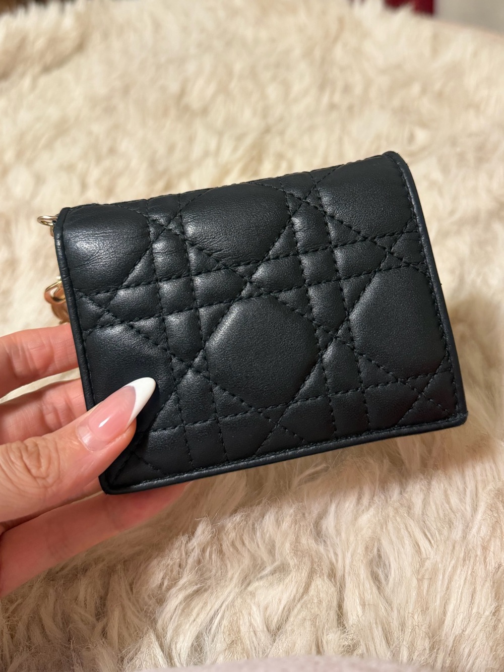 2024 Mini Lady Dior Gardenia Compact Wallet